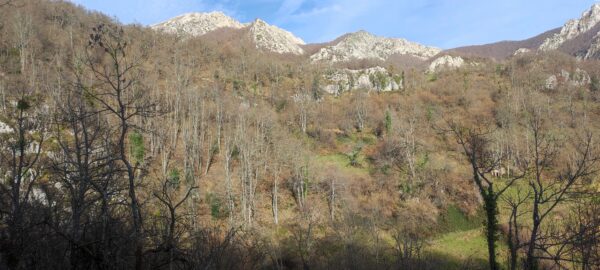 Ruta - Imagen 7