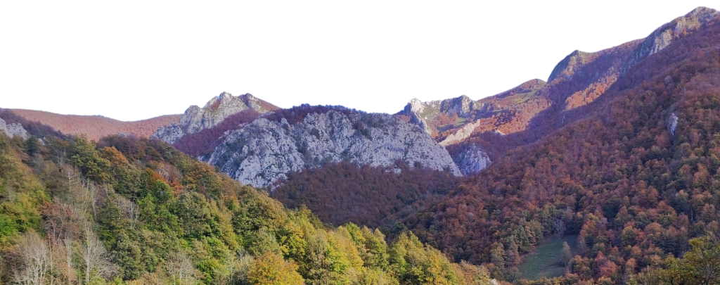 Bosques Parque natural de Redes